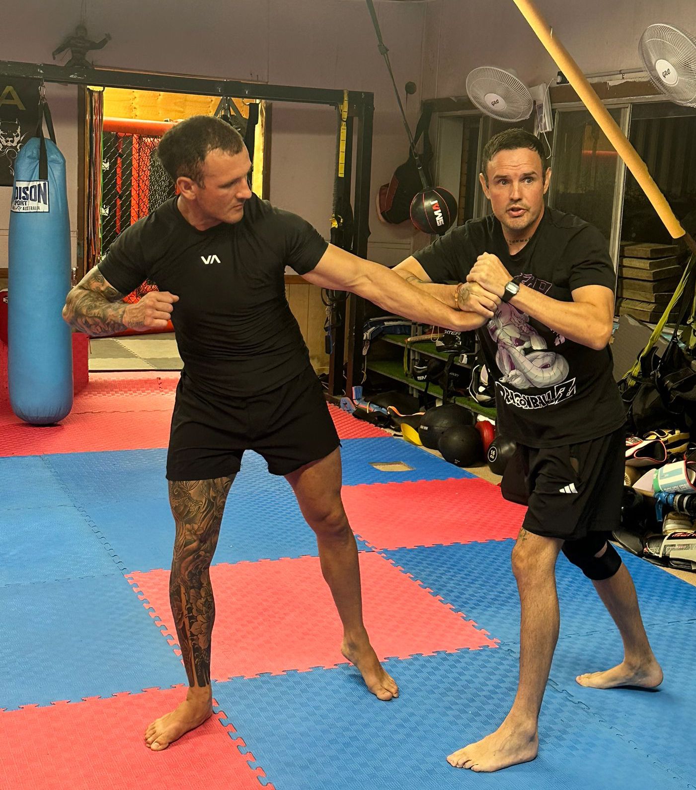 Greenseer self-defence training